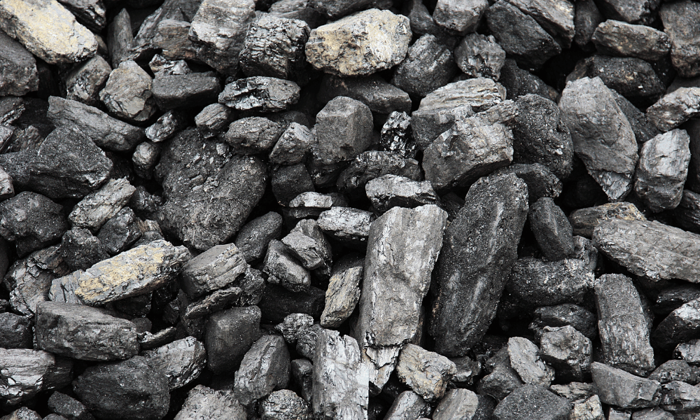 Professional executive representing coal quality certification standards